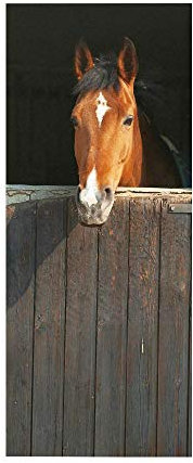 Türtapete selbstklebend Pferd TürPoster 3D Bewirken Fototapete Türfolie Poster Tapete Abnehmbar Wandtapete für Wohnzimmer Küche Schlafzimmer 77x200cm