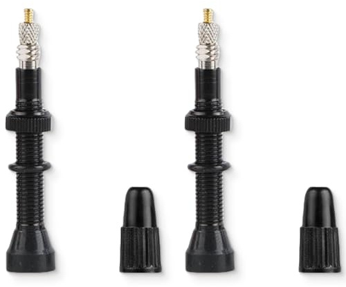 JEYORZY Valve Tubeless VTT 40 mm, 2 Pièces Valves Presta sans Chambre à Air 40 mm Valves Tubeless Tige de Valve VTT Valves de Vélo pour Pneus de Vélo, noir