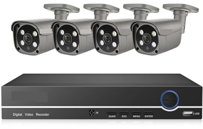 Sistemi di telecamere CCTV, Kit di videosorveglianza di sicurezza 8CH 5MP Visione notturna a colori CCTV impermeabile for esterni Telecamera IP POE bidirezionale(None,8CH NVR (4Cameras))