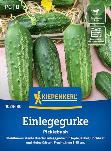 Kiepenkerl Einlegegurkensamen Picklebush 1029480, Gemüsesaat | Kübel & Hochbeete, Gurkensamen für kleine Gärten, aromatisch