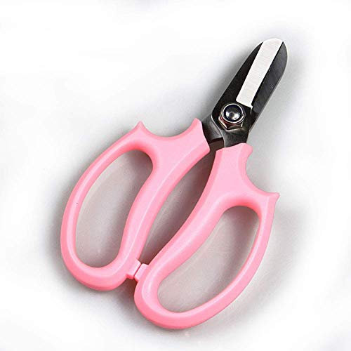 RUHEN Tijeras Florales Tijeras de podar Floristería Flores Herramientas de jardinería Floristería Tijeras frutales Tijeras para Cortar Flores