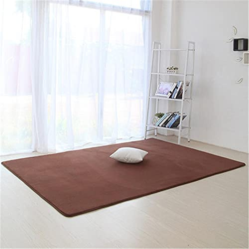 Alfombra de Terciopelo Coral Grueso de Color sólido Calidad Marrón claro Suave Lavable Antideslizante Grande Rugs Rug Minimalista Moderna Sala De Estar Dormitorio Tatami Gateando Estera -120×140cm