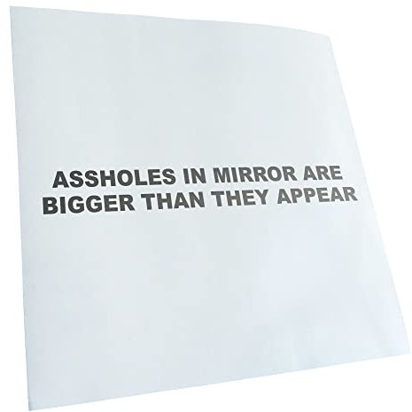 Kiwistar - Autoaufkleber - Assholes in Mirror Are… - Silber - 12x2cm - Heckscheibe Auto Aufkleber wetterfest für Kfz LKW Mofa Truck - Sticker außen selbstklebend Tuning Zubehör für Fenster Fahrzeug