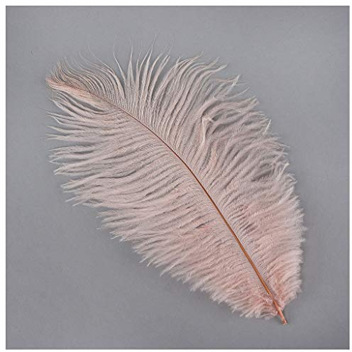 Zucker 12pc Ostrich Feather Craft Supplies - 4-8 inch (10-20 cm) Natural Colorful DIY Wedding Home Decor - Champagne Pink