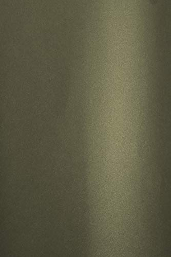 Netuno 20x Bastelkarton Perlmutt Dunkel Grau DIN A4 21 x 29,7 cm 280g Aster Metallic Grey Gold Perlmuttkarton Grau mit Goldpartikeln glänzend Pearlkarton Perlglanz Bastel Karton Perlmutt Glanz