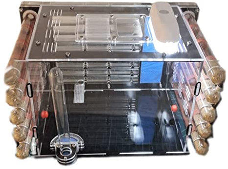 DIY Kreatives Ameisenfarm-Set, Acryl-Ameisenschloss, Ameisenhaufendorf mit großem Jagdgebiet, Ameisenhaus, Werkstatt, Ameisennestfarm, DIY-Reagenzglas-Ameisenfarm (Color : Parent, Size : A)