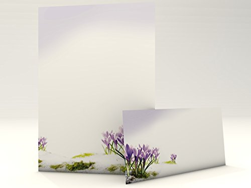 Motivpapier Set mit Umschlag Krokusse 20 Blatt A4 und 20 passende Kuverts