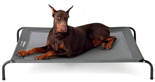 Bedsure Grand Lit Surélevé pour Chiens - Lit pour Chiens Surélevé et Imperméable avec Maille, Lit pour Chiens d'Extérieur pour Voyages et Jardin, Gris, 124x90x20 cm