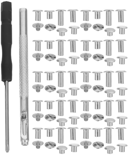 Healvian 110 Pezzi Kit Rivetti per Cuoio in Argentato Viti Chiusura Resistenti per Decorazioni e Riparazioni di Borse Cinture Scarpe e Rilegatura Libri Completo con Utensili