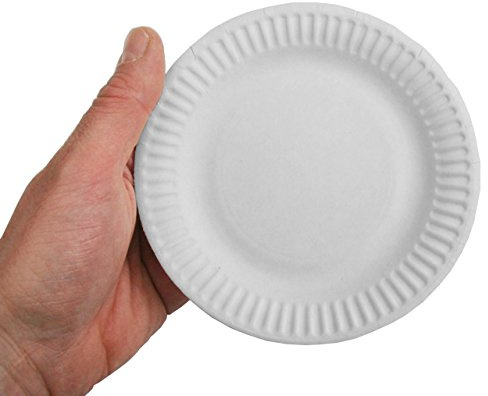 Papstar – 100 Teller, Pappe pure rund Ø 15 cm Weiß