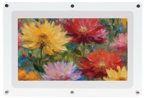 Canvia Kinetic Digital Art Frame - Smart Bilderrahmen zum Abspielen von Video, Foto oder Bildern auf Loop - Acrylrahmen, 4GB Speicher mit Akku - 10 Zoll, 2500mAh Akku