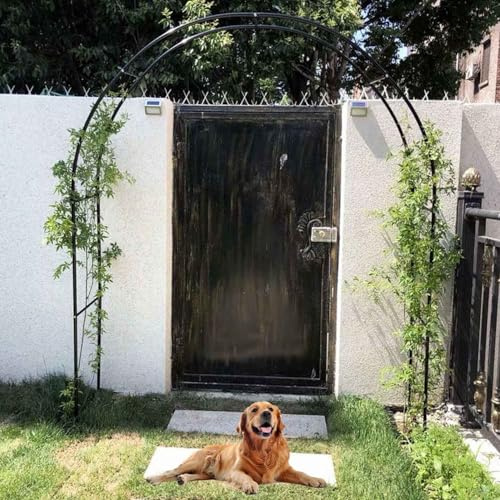 Tonnelle de jardin en acier pour plantes grimpantes - 350 x 220 cm - Treillis de roses d'extérieur - Arche de mariage - Décoration de terrasse - Support en métal durable pour fleurs et fêtes