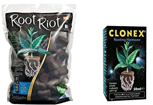 Root riot 100 Cubes Refill Bag & clonex 50ml