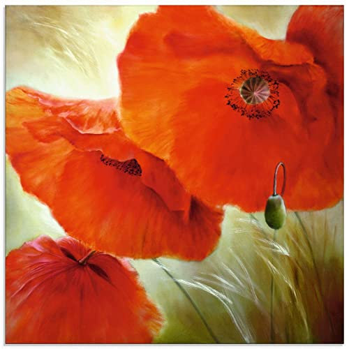 ARTland Wanddeko Glasbilder Wandbild Glas Bild einteilig 40x40 cm Quadratisch Pflanzen Blumen Blüten Mohnblume Mohn Sommer Wellness U4QN