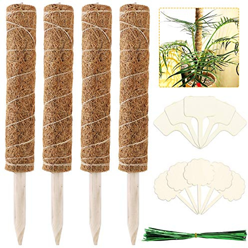 Moosstab Kletterhilfe mit 10 Pflanzenzeichen, 50 Kokosnussstäbe, Kletterstab 4 Stück, 40 cm, für den Garten des Hauses, Kletterpflanze, Erweiterung der Pflanzenstütze