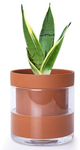 Phoenix Vine Vaso autoirrigante da 15,2 cm, in terracotta con serbatoio in vetro, per piante da interno, erbe, fiori, set da 1, 52-A-F-1