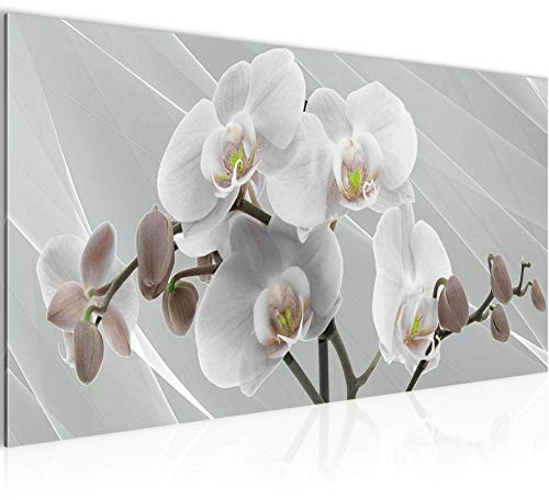 Runa Art Wandbild Blumen Orchidee 1 Teilig 100 x 40 cm Modern Bild auf Vlies Leinwand Abstrakt Wohnzimmer Grau Rosa 203012c