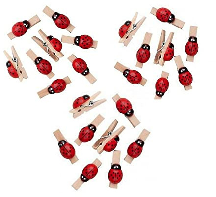Mini Mollette Naturale di Legno, Mollette per Foto, Mini Clip Decorazione Biglietti Regali, Portafortuna Bomboniere, Chiusura Sacchetti Foto Scrapbooking Matrimonio Feste (40PZ X 30MM, Coccinella)