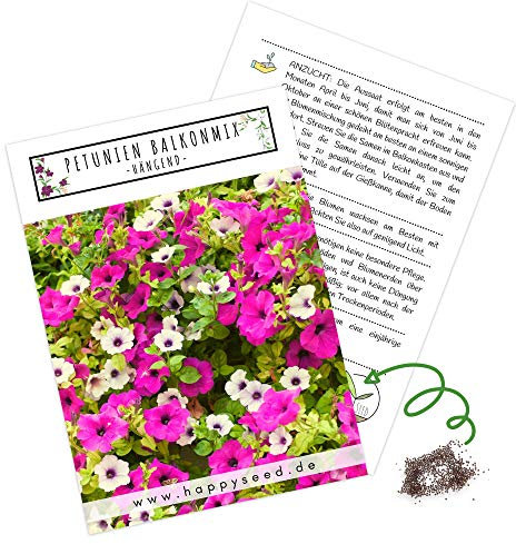 Blumensamen Balkonkasten Mischung - Farbenfrohe Blumen mit langer Blütezeit ideal für Ihren Balkon, Garten & Blumenwiese (Petunien Mix)
