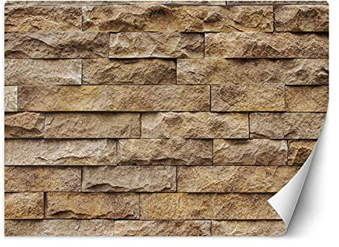 Feeby Papier Peint Intisse Imitation De Maçonnerie Grès 250x175 cm beige XXL Photo Mural Muraux Tapisserie Motif Texture