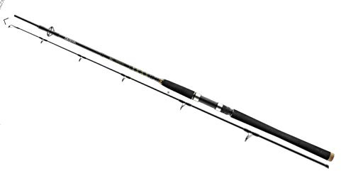 Daiwa BG Popper 2.30m 40-150g