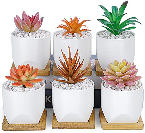ARTKETTY 6 macetas para suculentas, pequeñas macetas Blancas con Bandeja de Drenaje, macetas de cerámica para Interiores y Exteriores, decoración de jardín, hogar, Oficina