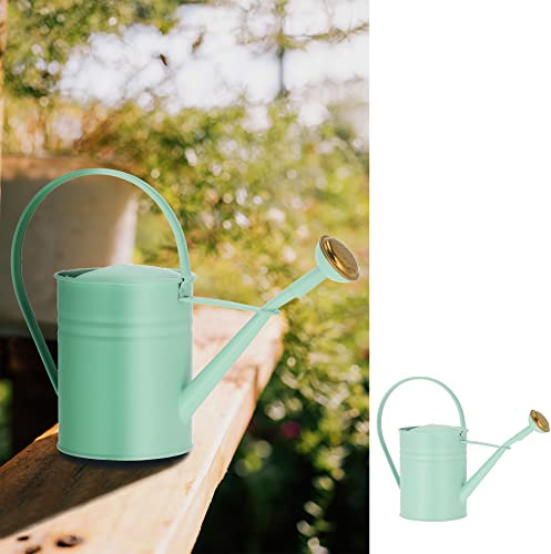 Giesskanne 1Liter hellgrün | Stahlblech verzinkt 10,5x22x30cm | Kanne Wasserkanne Gartenzubehör (1 x Gießkanne hellgrün)
