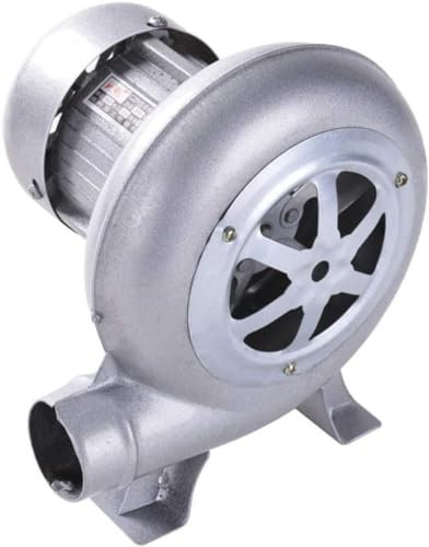 LWLYLCHBM Souffleur électrique pour cheminée, souffleur de contrôle de vitesse domestique, 80 W