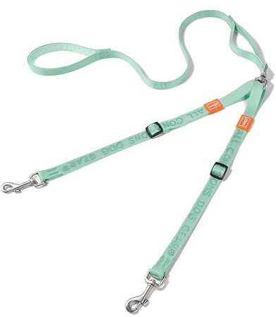 HOWGO Double Dog Leash, No Tangle 360° Swivel, Adjustable Two Padded Handles, Double Clip Dog Leash Coupler Splitter Breeds (Mint Green, 4/5'' x 4.8 FT, Std)
