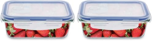 Amig - Recipiente hermético para alimentos - Apto para Microondas, Horno y Congelador - Ideal para Alimentos Sólidos y Líquidos - Anti-Olores - Fácil de Limpiar - Capacidad: 840 ml (Paquete de 2)