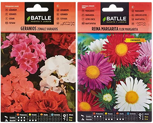Geranios ZONALE Variados & Reina Marg. FLOR MARGARITA