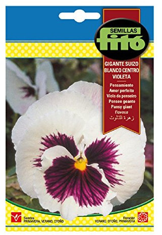 Semillas Fitó 3098 - Semillas de Pensamiento Gigante Suizo Blanco Centro Violeta