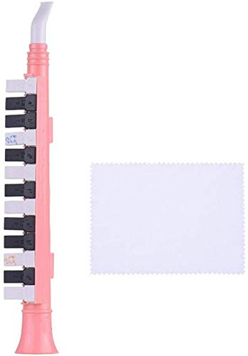 Clavier Melodica 13 touches Melodica Pianica Instrument d'éducation musicale Débutant Enfants Instrument de musique Melodicas