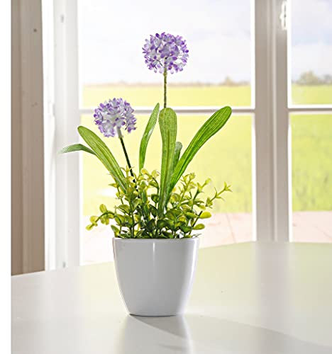 Dekoleidenschaft Topfpflanze Allium Flieder, 27 cm hoch im Keramik Übertopf, Kunstpflanze mit lila Blüten, künstliche Pflanze im Topf, Plastikpflanze