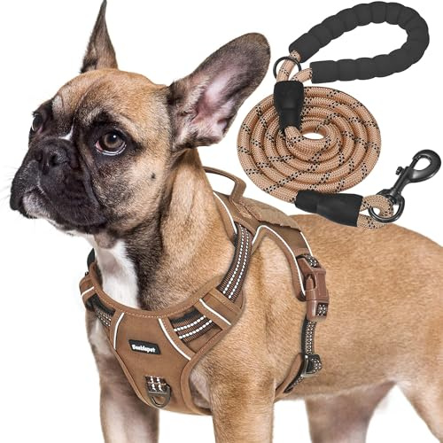Beebiepet Taktisches Hundegeschirr für mittelgroße Hunde, strapazierfähig, Molle-System, Vierpunktverstellung, Anti-Verlust-ID-Tag, inklusive 1,5 m Leine