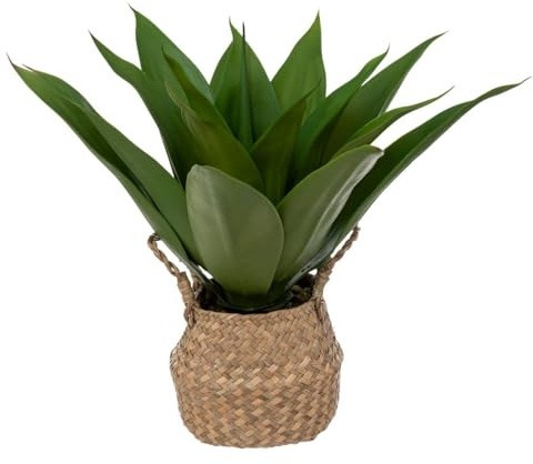 Atmosphera - Agave Artificial - Maceta de caña - H48 cm