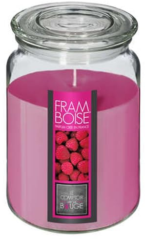 WELL HOME - Vela perfumada de frambuesa