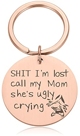 Divertente Pet Dog Cat ID Tag Portachiavi Regali per Amanti dei Cani Pet Collar Tag per Cane Proprietario Personalizzato Dog Cat Tag Puppy Tag,DZ053-Oro rosa