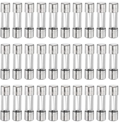 QUARKZMAN 30 Stück Sicherungen 10A 250 Volt Schnellauslösende Glas Sicherungen F10AL250V 5x20mm Schnellauslösende Sicherungen Für Weihnachtsbeleuchtung Elektrische Systeme Mikrowellen
