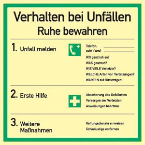 Schild Aushang Verhalten bei Unfällen | langnachleuchtend | PVC 18 x 18 cm | DIN EN ISO 7010 | Verhalten bei Unfall Verhaltensregel Betriebsaushang Hinweisschild Erste Hilfe