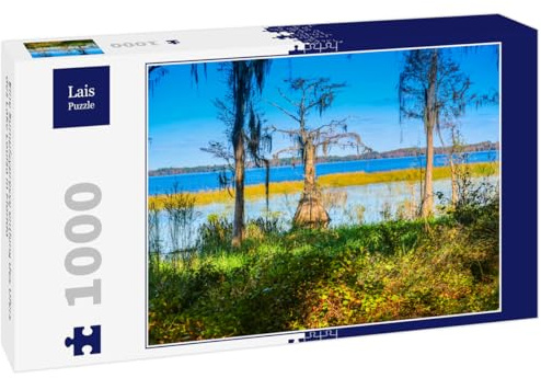 Lais Puzzle Un cipresso Calvo Lungo la Riva del Lago Louisa in Florida 1000 Pezzi