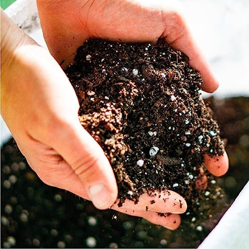 Sustrato para Cactus y Crasas con Fertilizante Bolsa de 5 Litros