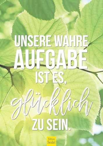 Edition Seidel Premium Kalender Sprüche 2026 Format DIN A3 Wandkalender Motivation mit Sprüchen Dekoration zum Aufhängen Geschenk