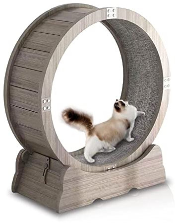 Hundelaufband Katzenrad Katzen-Laufrad Katzenräder für Katzen im Innenbereich Katzenrad-Übungsgerät Katzen-Gewichtsabnahmegerät für Gewichtsabnahme bei Haustieren