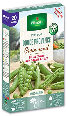 Pois Douce Provence - 20 m