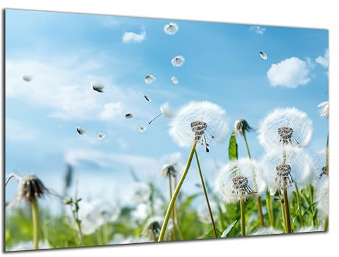 DARO Design - Wand-Bild 6mm HDF 40x30 cm Löwenzahn-Feld Pusteblumen - Wand-Deko Bilder Wohnzimmer