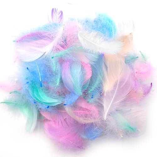 Bunte Federn zum Basteln, 200 Stück Dekofedern in Macarons - Kleine Natürliche Federn für DIY Traumfänger, Ohrringe, Kopfschmuck, Hochzeit