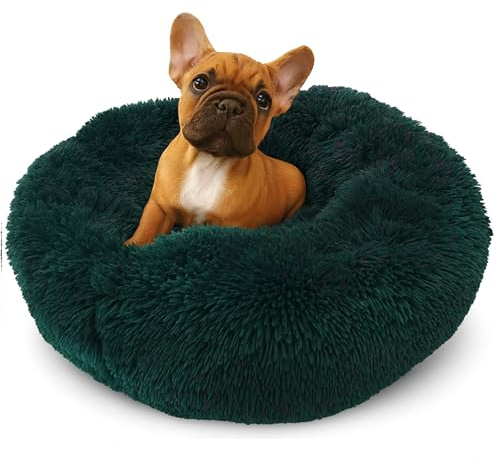 Grand Filippo Fluffy Maschinenwaschbar Hundebett 50 cm - Handgefertigt Hundebett Flauschig - Hundekissen Flauschig - Katzenbett Waschbar - Rund Katzenbett Grün
