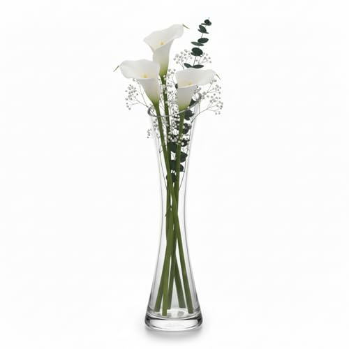volumoon Blumenvase Glas 25cm Hoch, Klarglas Vase, Vase Schmal Hoch Glas, Dekorative Vases für Pampasgras, Tulpen, Orchideen, Rosen, Trockenblume, Wohnzimmer, Büro, Esstisch (Transparente)