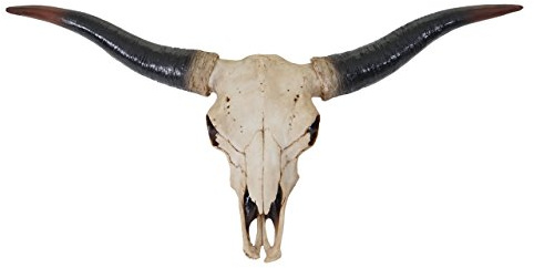 Mendler Deko Schädel 75cm HWC-A14, Polyresin, Stier, Bulle, Natur | Longhorn, Kopf, Trophäe, In-/Outdoor